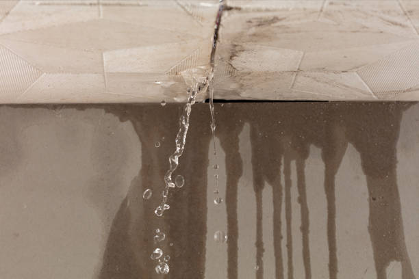 Professional Structural Drying technician working in Trevor, WI